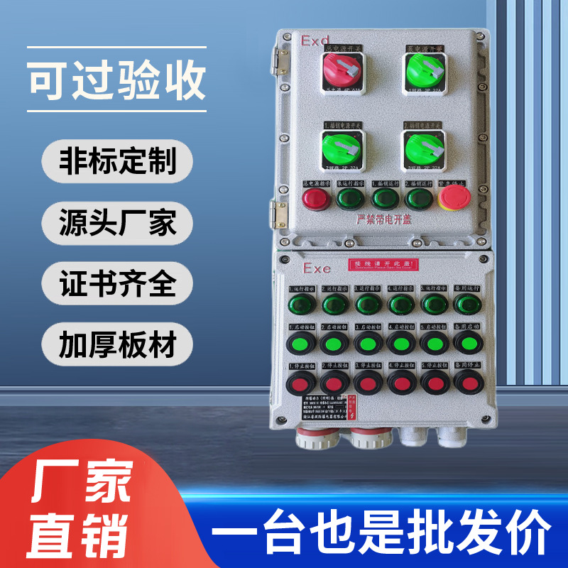Explosion-proof lighting power distribution box maintenance flameproof stainless steel monitoring touch screen display operation column instrument box