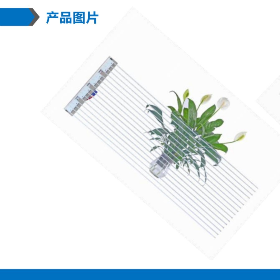 Building Projection Cultural Tourism Scenic Area Holographic Immersion LED Transparent Film Screen Glass Film Screen High Transparent Screen