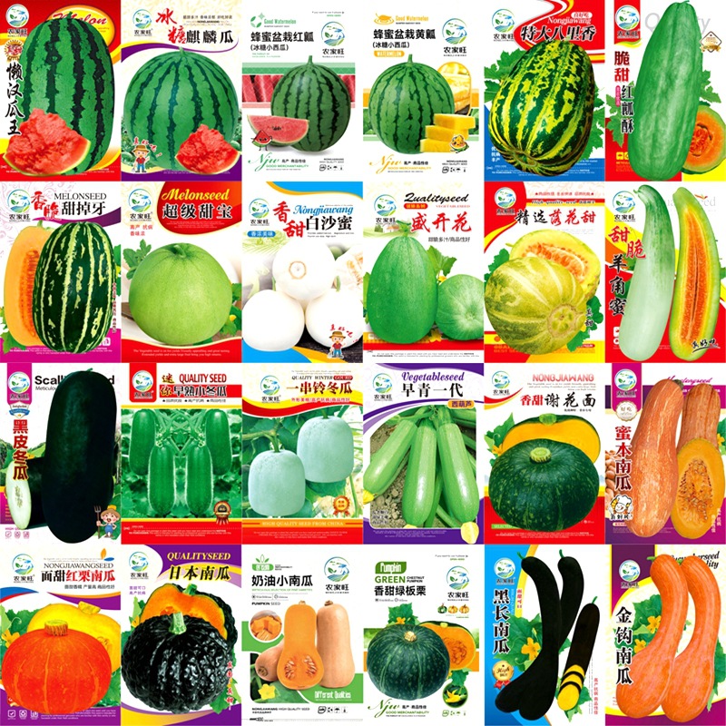 Vegetable Seeds Sown in Pots for All Seasons, Balcony Courtyard, Coriander, Greens, Beans, Lettuce, Shallots, Spinach Seeds