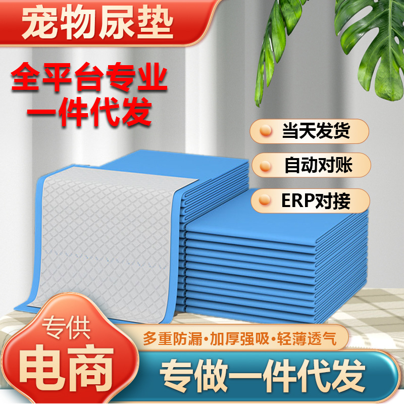 Pet Diaper Diaper Dog Diaper Diaper Pad Thickened Absorbent Diaper Cat Pet Training Toilet Supplies