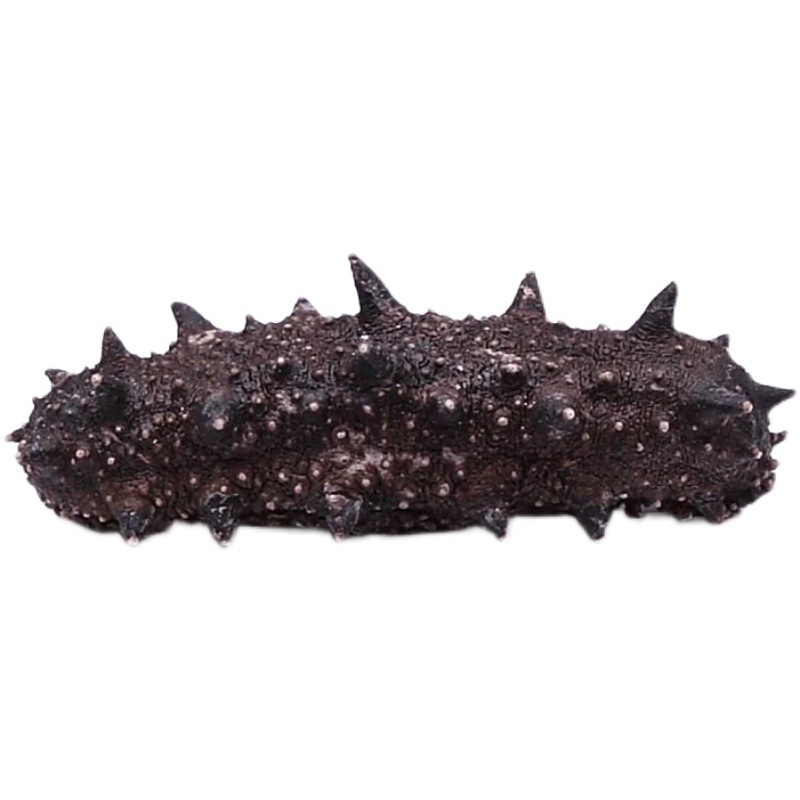 Dalian Wild Light-Dried Small Sea Cucumber Dry Goods Gift Box for Pregnant Women, Non-Instant Sea Cucumber, Sea Cucumber, Sea Cucumber