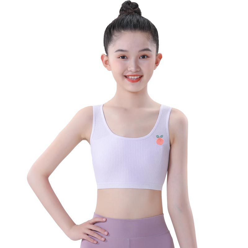 Girls' Underwear Developmental Primary School Students Junior High School Girls' Bra Children's Chest Wrapping Cotton Small Vest Girls' Tube Top