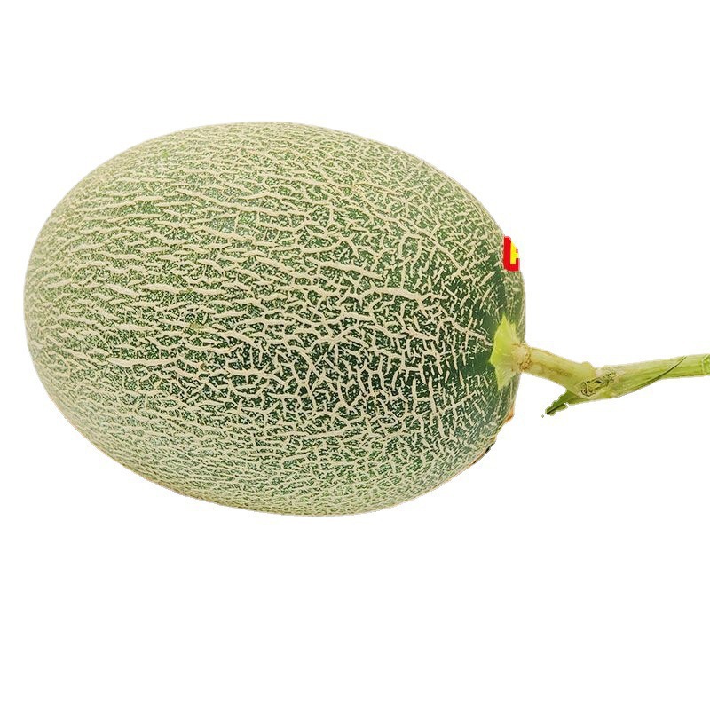 Xinjiang Cantaloupe, Turpan, Xizhou Honeydew Melon, Fresh Fruit Wholesale, Free Shipping, Shipped from Multiple Warehouses