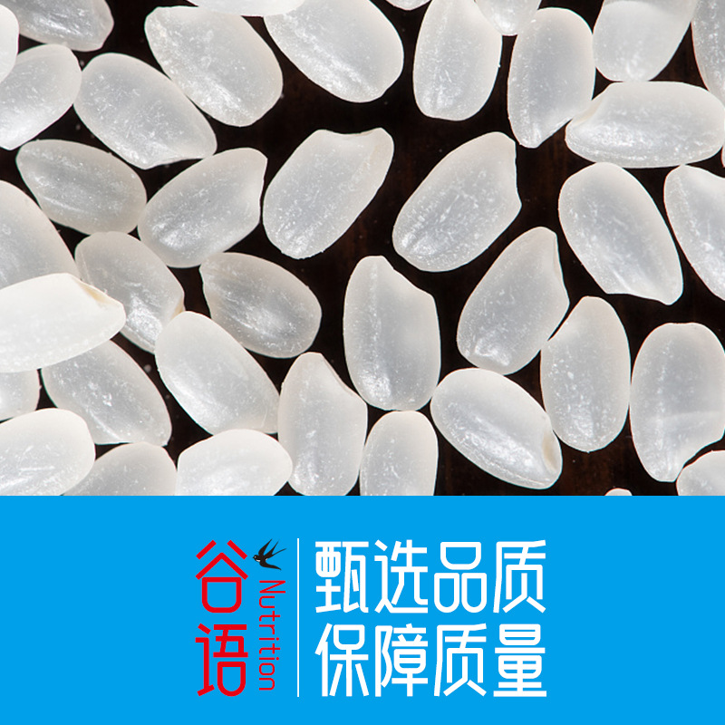 Rice 500g New Rice Northeast Rice Brick Vacuum Packaging Farm-Grown Grains Manufacturer Wholesale Grains