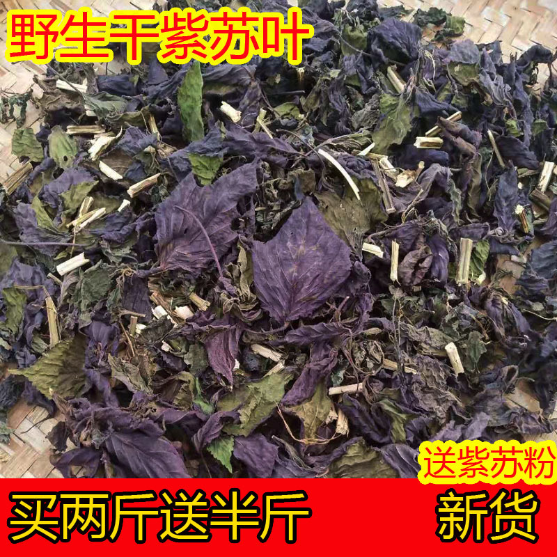 Selected Wild Perilla Leaves, Dried Fresh Natural Perilla Powder Leaves, Dried Goods for Cooking Fish, Shrimp, and Crab to Remove Fishy Smell, Edible 500