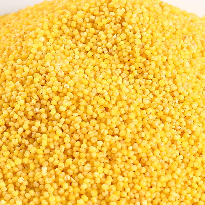 Yellow Millet 500g New Rice Grains Inner Mongolia Chifeng Farm Fragrant Glutinous Millet Porridge Coarse Grains Millet Wholesale