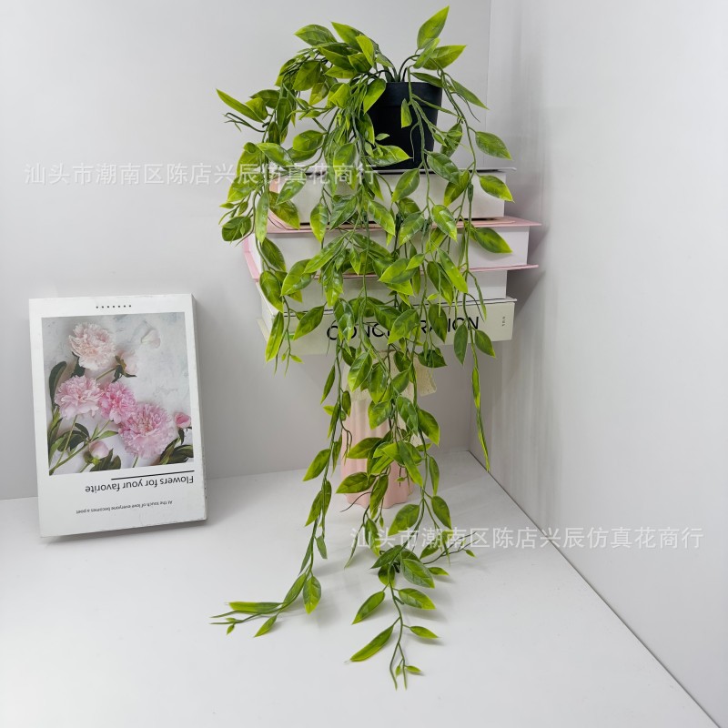 Cross-Border Amazon Artificial Artificial Flowers and Green Plants Mandala Eucalyptus Bonsai Pea Pod Hanging Potted Plants