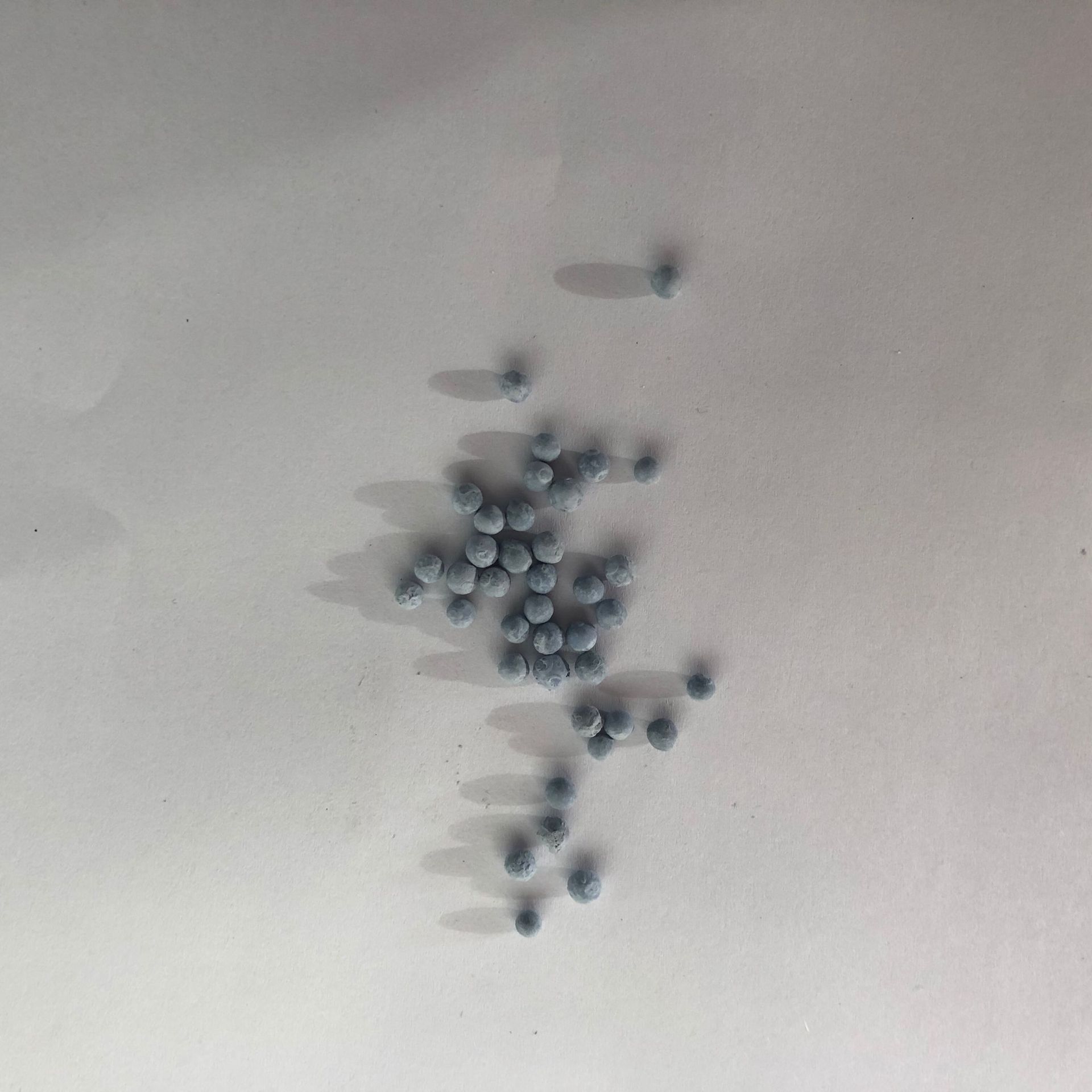 Hydrogen-added Catalyst Catalyst Manufacturer Hydrogen-added Catalyst Hydrogen-added Desulfide