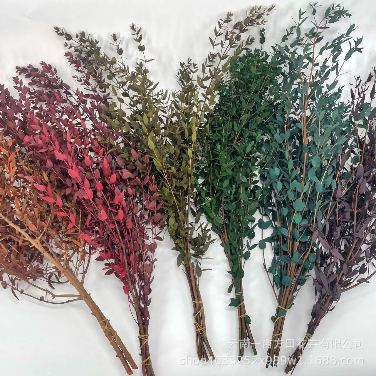 Эвкалипт с мелкими листьями из Юннани, оптовая продажа высушенных цветов