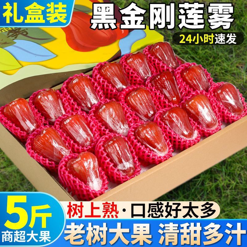 Sf Черный алмаз Лотосовый туман свежие тропические фрукты целая коробка сезонные экстра крупные фрукты хрустящие сладкие для беременных женщин