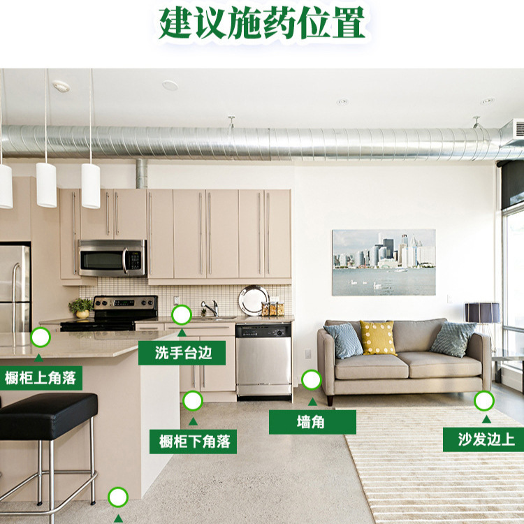 Ant Medicine to Kill Ants, Clear and Repel Ants, Powder Chain-Killing Ant Bait, Household Indoor and Outdoor Kitchen Wholesale Delivery 5g