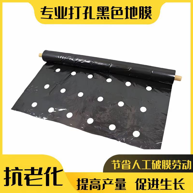 Пленка для мульчирования с отверстиями, серебристо-черная пленка для контроля сорняков, изоляция фруктовых деревьев, удержание влаги, дышащая пластиковая пленка для лекарственных материалов