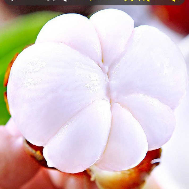 Taishan Bamboo Fresh Large Fruits Whole Box Seasonal Fruit Sf Free Shipping Seasonal Large Fruit Oil Three Bamboo Hemp Bamboo