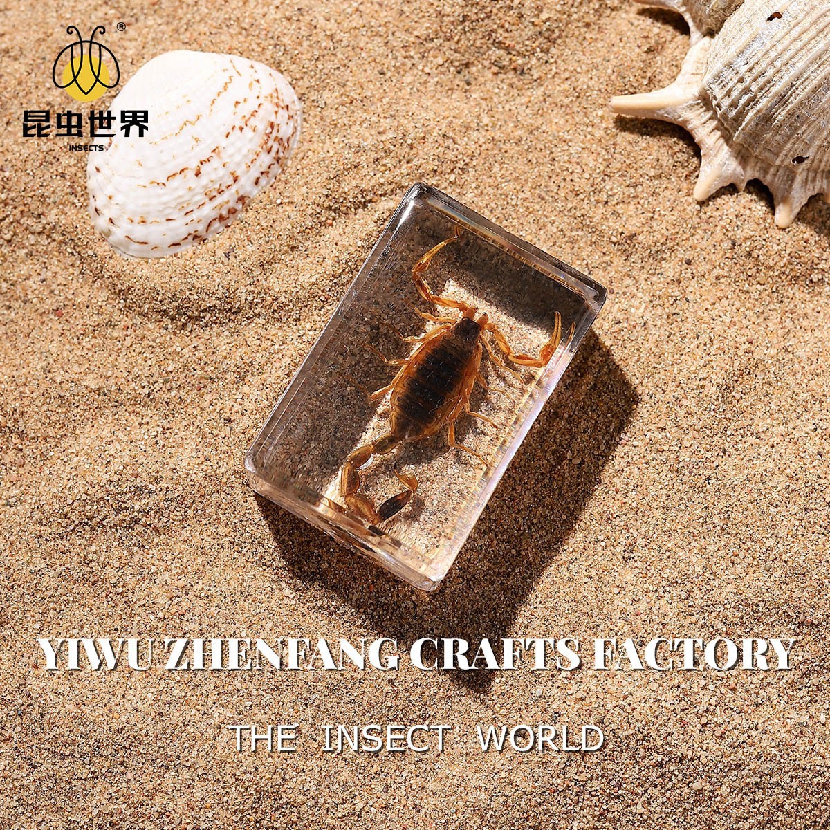 Zhenfang Ремесло Фабрика Производит и Продает Реальные Насекомые Экспонаты, Оптовые Учебные Модели, Ручные Слепые Коробки
