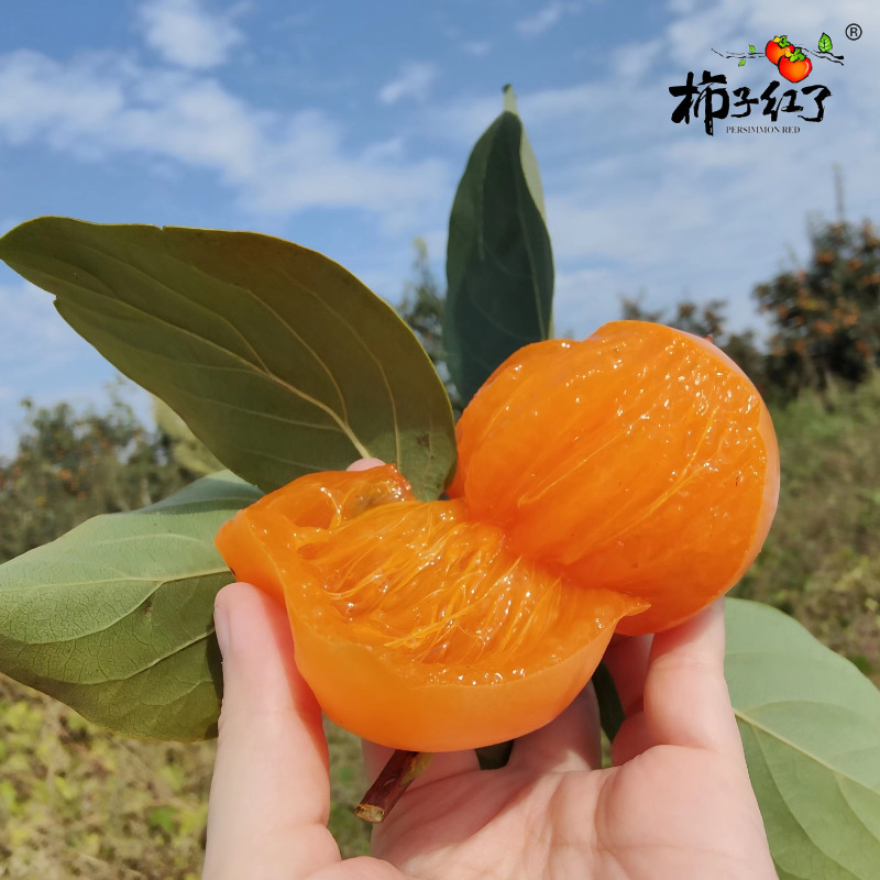 Fuping persimmon persimmon red flow heart roasted persimmon ice persimmon sweet glutinous ice frost persimmon pointed persimmon core move ice persimmon a generation of hair