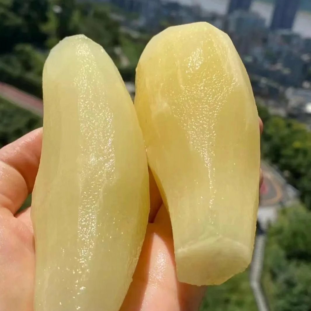 Yunnan Tianshan Yacon, Sweet, Crisp and Juicy, Freshly Dug in Season, Low Sugar, Whole Box of 4.5kg Pieces, Drop Shipping