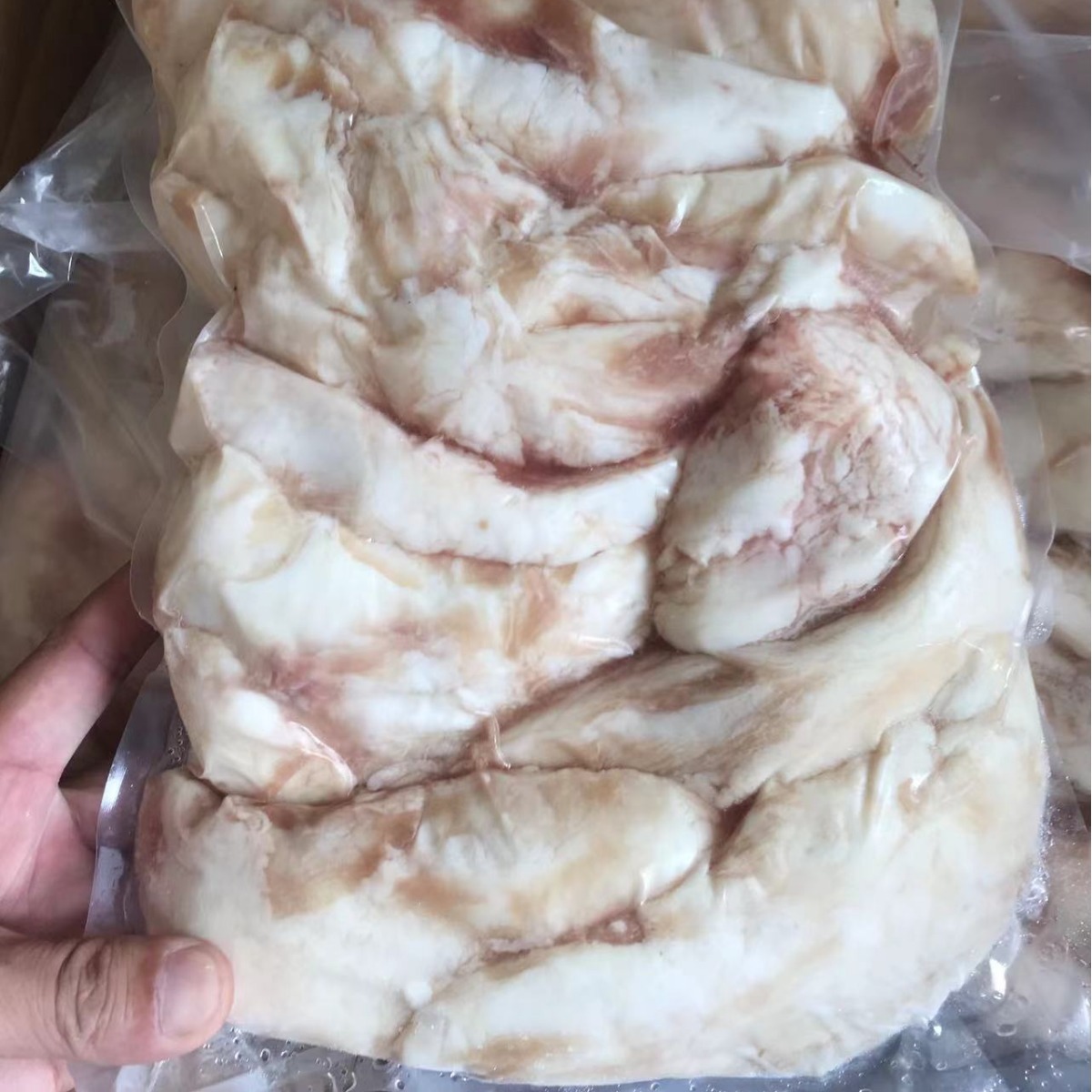 Halal Original Cut Beef Breast Oil, Fresh Beef Breast Oil, Crispy and Tough Barbecue Hot Pot Ingredients