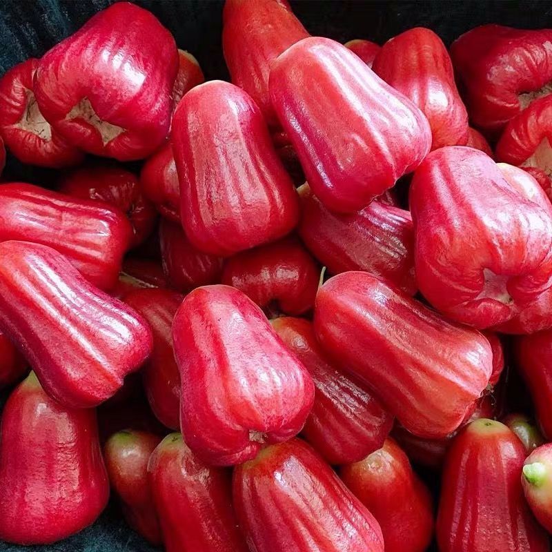 Hainan Black Diamond Lotus Mist Fruit Seasonal Tropical Fresh Fruit Sanya Mist Lotus Fruit Factory Wholesale