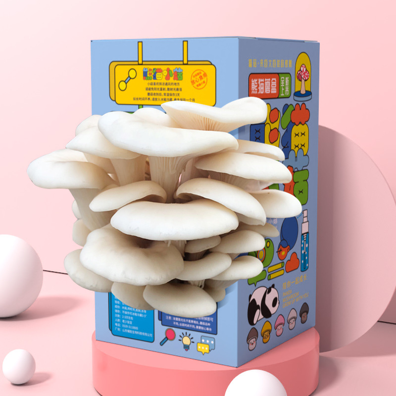 Mushroom Box Gift Box Pleurotus ostreatus Planting Bag Edible Fungi Doll Green Plant Kindergarten Breeding Boxed Bag Gift
