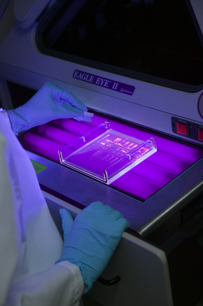 Luv-260Ad Dual Wavelength Uv Transmittance Bench