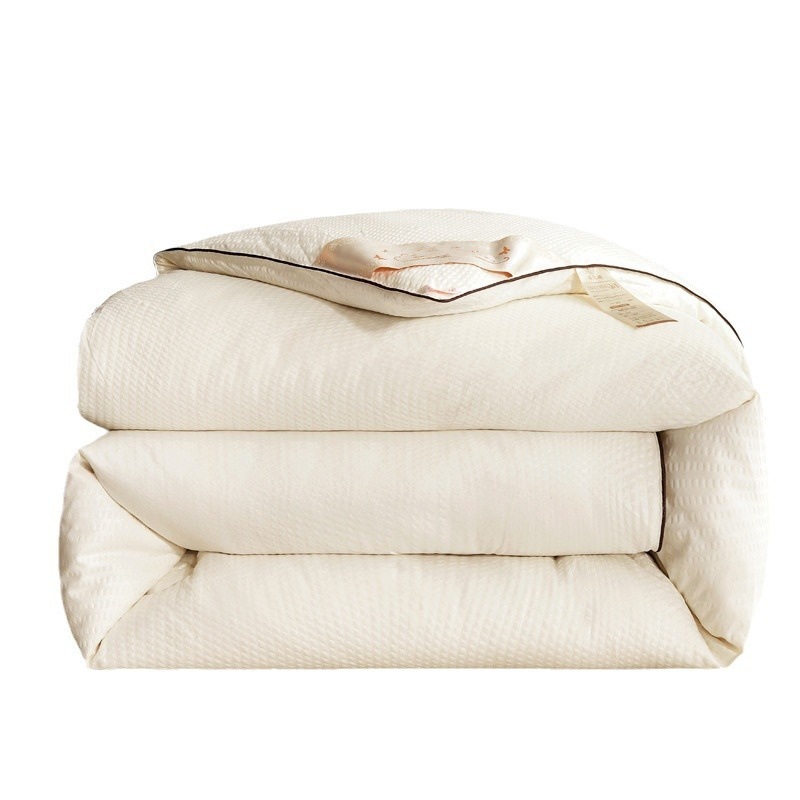 Beanie Quilt, Feather Silk Quilt, Single Student Quilt, Four-Season Quilt, Air-Conditioning Quilt, Thick Quilt Core Quilt, Spring & Fall Quilt, Warm Winter Quilt