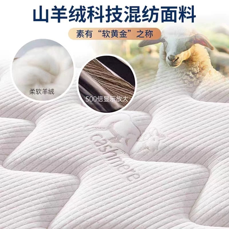 Zhengzhou Independent Spring Simmons Mattress Home Soft Cushion Latex Coconut Palm Rental Mattress 180Cmx220Cm