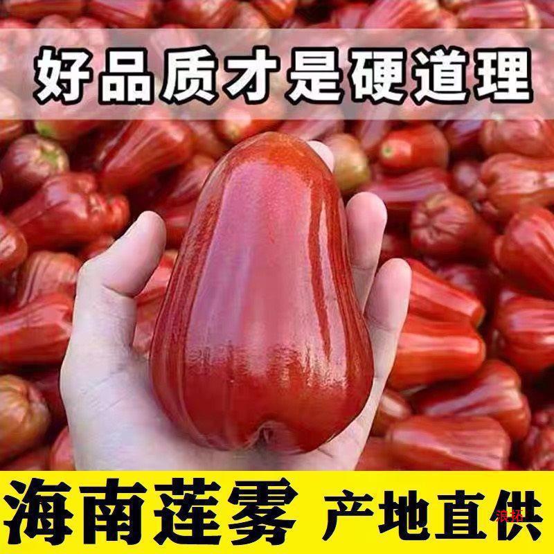 Lotus Mist Hainan Black King Kong Fresh Fruit Jin Tropical Fruit Pregnant Women Fruit Fairy Fruit Jin Wholesale