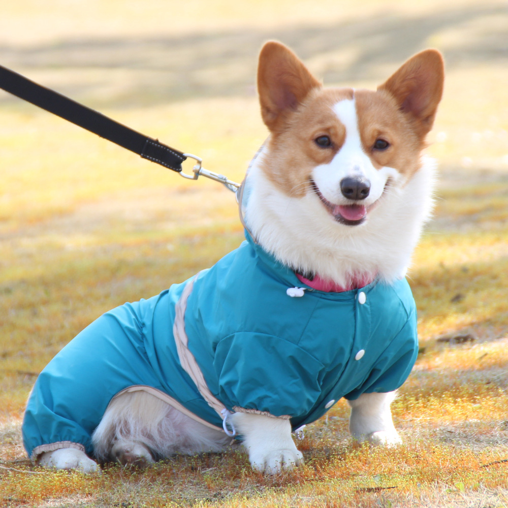 pet it rainy day corgi clothes short reflective dog raincoat all-inclusive small dog pet jumpsuit waterproof