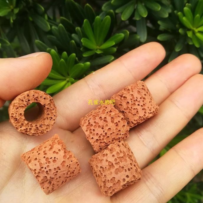 Water Grass Fixed Ring Gravity Ring Biological Breathing Ring Water Grass Fixed Ring Lazy Man Landscape Planting Ring Simple Decorative Use