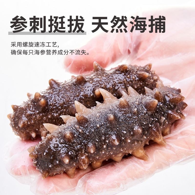 Ready-To-Eat Sea Cucumber Manufacturer Wholesale Dalian Sea Cucumber Gift Box Wholesale Sea Cucumber Fresh Non-Dry Cucumber Gift High Quality