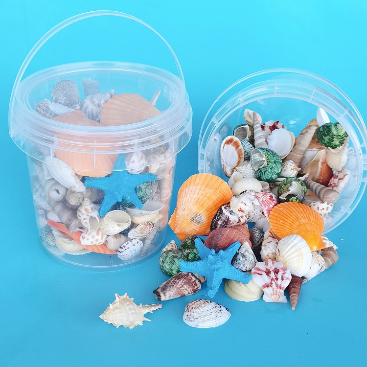 natural shell conch sea star aquarium landscaping micro landscape accessories diy handmade shell material