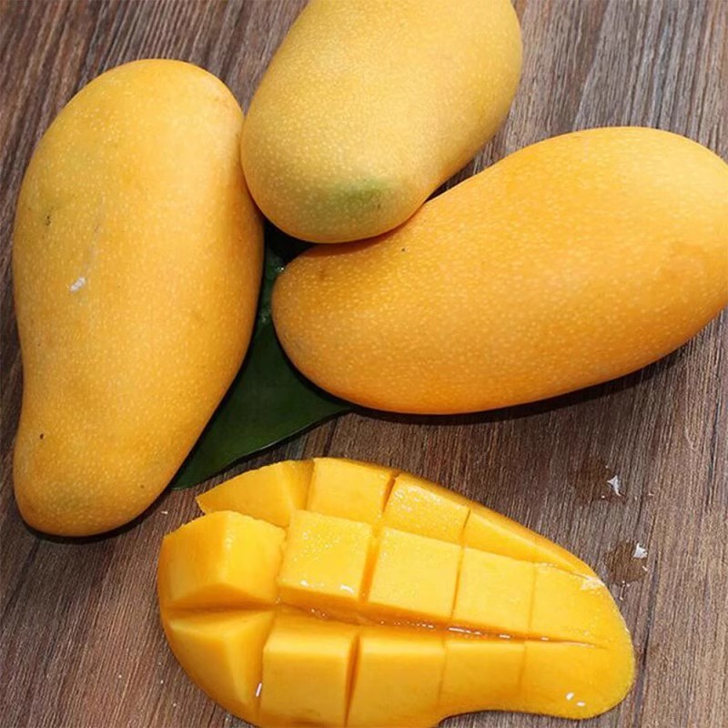 Authentic Vietnamese Golden Huang Mango, Fresh with Free Shipping, 5kg Whole Box of Seasonal Fruit, Giant Tropical Fruit, Sweet