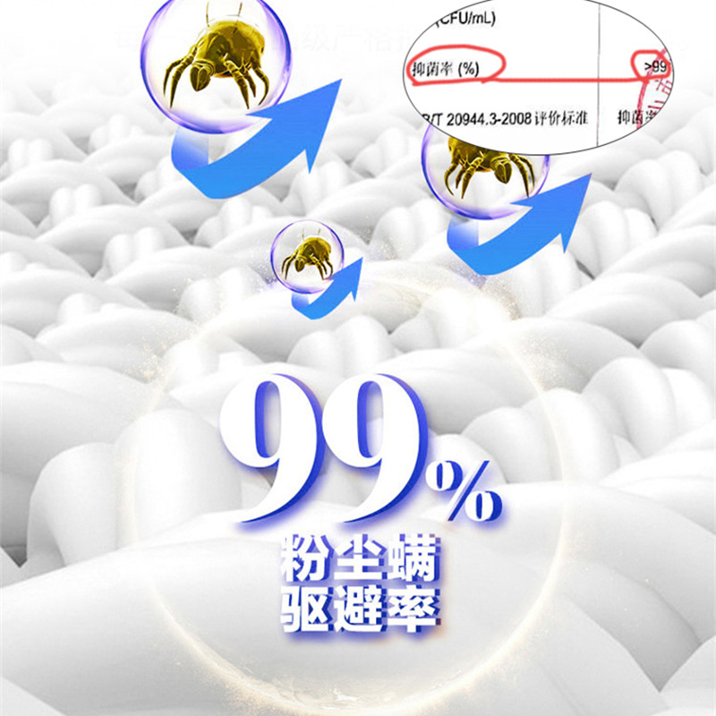 Memory Foam Mattress Star Hotel B&B Soft and Hard Dual-Use Hilton Independent Spring Mattress Thick Simmons Customized