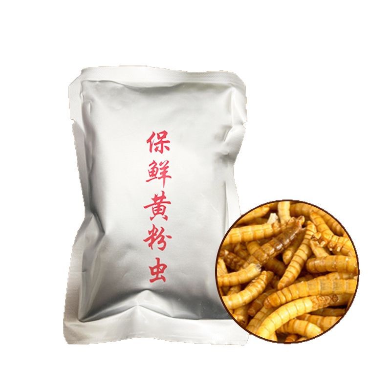 Tropical fish food preservation bread worm turtle rohan fish ornamental fish general thunder dragon nutrition barley worm factory wholesale