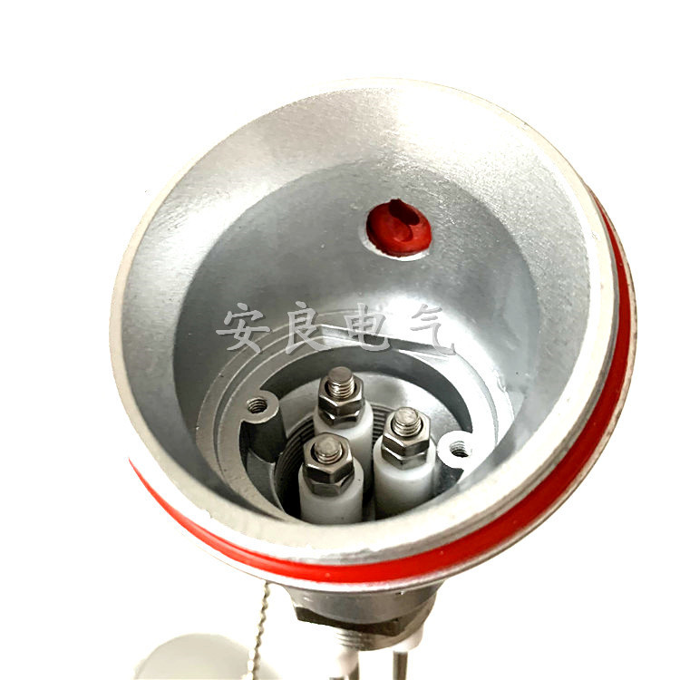 Electrode type level gauge 316 two-three-pole junction box pure titanium sensor 304 stainless steel rod 1 inch water level probe