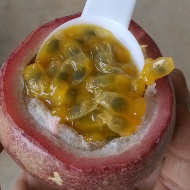 Fresh Passion Fruit Pulp Wholesale Passion Fruit Pulp Passion Fruit Juice Frozen Passion Fruit Jam Xifanlian Milk Tea Shop Exclusive