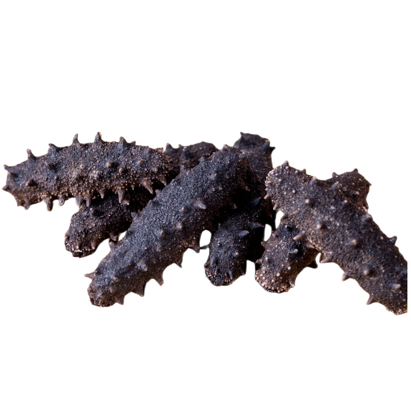 National Standard Dried Sea Cucumber, Dalian Light-Dried Sea Cucumber Wholesale, Dried Sea Cucumber in Bulk, Light-Dried Sea Cucumber, Liaoning Sea Cucumber Factory Seafood