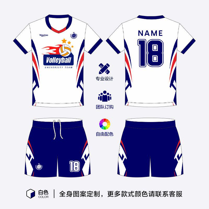 2024 new volleyball suit suit men's and women's short sleeve quick-drying breathable badminton jersey professional competition training team