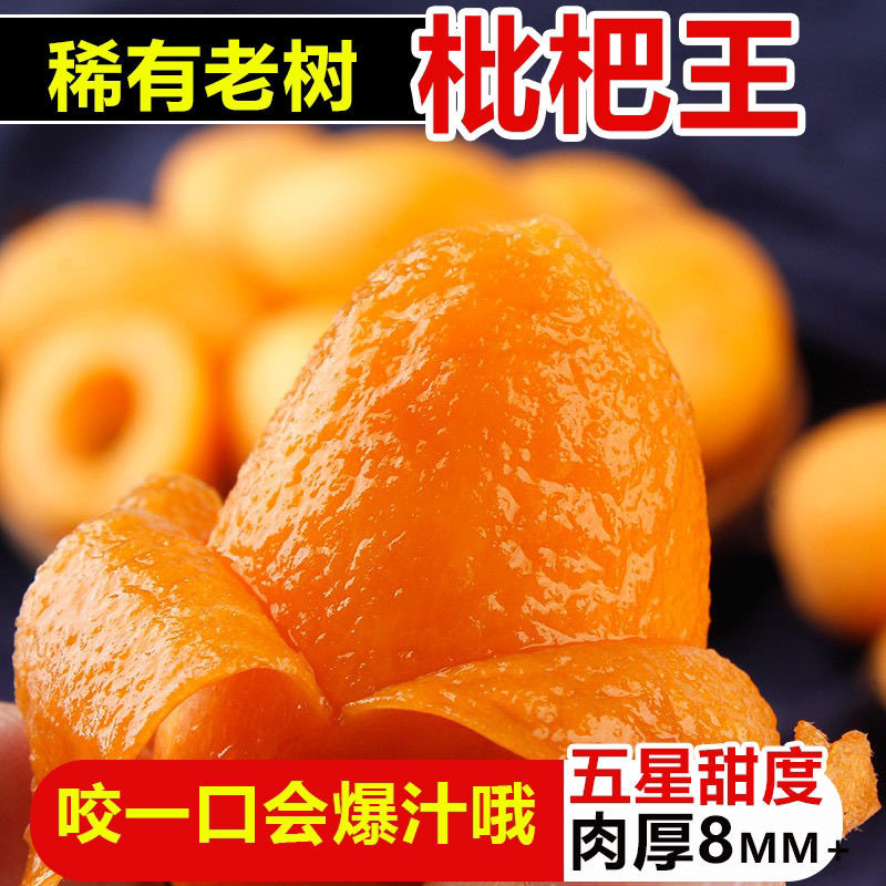 Fresh Large Fruit of Loquat from Miyi, Panzhihua, Sichuan