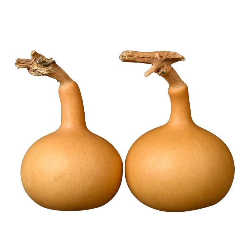 Unique Handle Small Gourd Toy for Handling, Irregular Handle Garlic Head, Unique Handle Single-Belly Gourd Wholesale