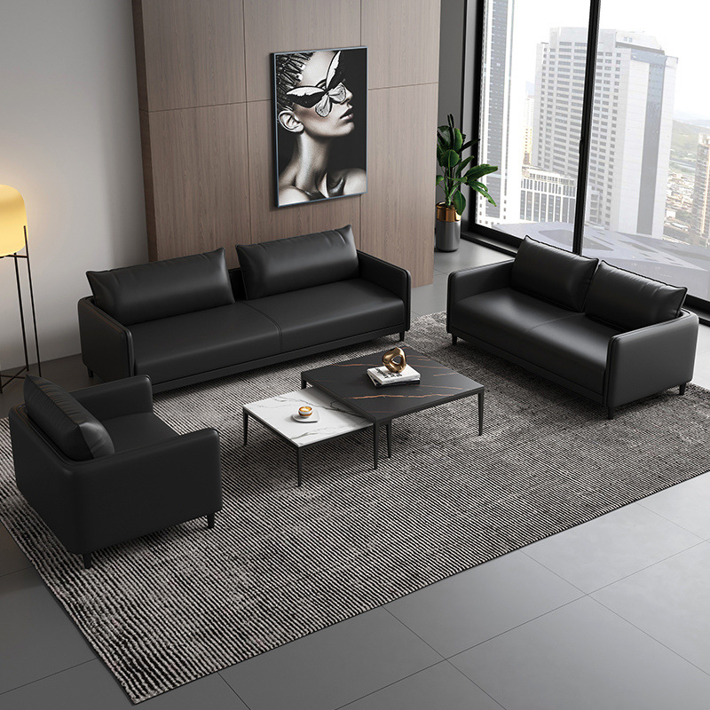 Simple Small Apartment Sofa Office Home Living Room Rental Clothing Store Double or Three Person Modern Cat Scratch Leather Sofa