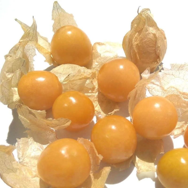 Jilin Guoxiangguo Fresh Fruit Lantern Fruit Free Shipping Seasonal Fruit Guoxiangguo Dropshipping