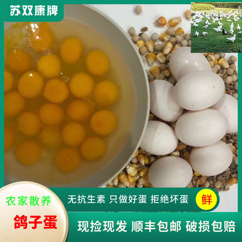Su Shuangkang ® Pigeon Eggs Drop Shipping Farm Free Range White Pigeon Eggs Miscellaneous Grains First Birth Grass Pigeon Eggs Wholesale Fresh