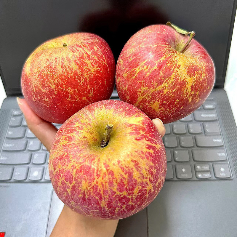 Daliangshan Jiandang Wholesale Ugly Apple Heart Crispy Rock Sugar Whole Box Giant Sweet Fresh Fruit Red Fuji Sichuan