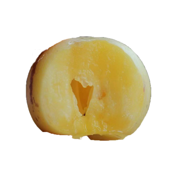 Freshly Harvested from the Place of Origin in Yunnan: Tree-Ripened Yellow Ginseng Fruit with Naturally Weathered Yellow Flesh