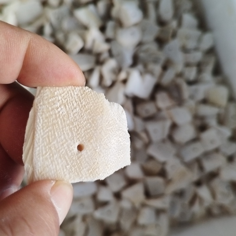 Cuttlefish Bone Block, Squid Bone, Jellyfish, Fine Cut into Pieces, Parrot Molar, Climbing Pet Chewing Tools, Punching Block