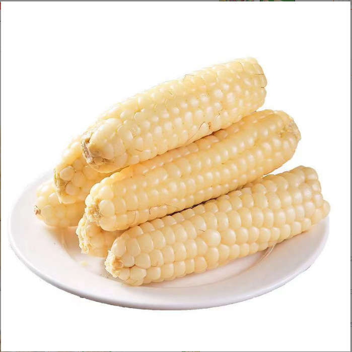 Yunnan Xishuangbanna Thumb Corn Instant Breakfast Substitute Fresh Dai Sweet Waxy Mini Finger Corn