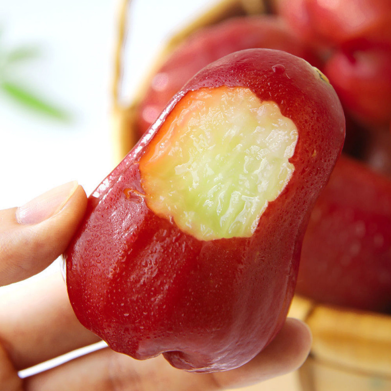 Hainan Black Diamond Lotus Mist Fruit Seasonal Tropical Fresh Fruit Sanya Specialty Mist Lotus Fruit Factory Wholesale