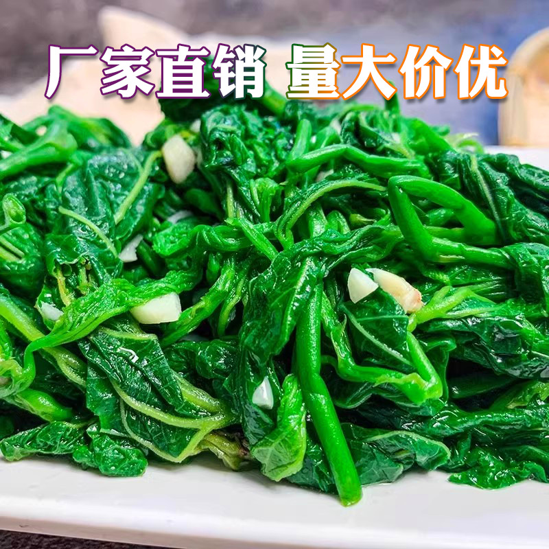 Tender mulberry leaf sprouts 250g special soup mulberry leaf vegetables fresh edible tender mulberry leaf tip semi-finished products special vegetable ingredients