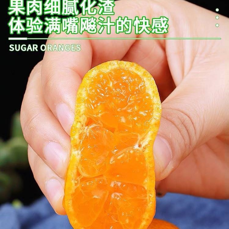 Authentic Guangxi Sugar Tangerine Fresh Fruit 5kg Seasonal Tangerine Golden Autumn Sugar Tangerine Tangerine Tribute Mandarin Whole Box Free Shipping